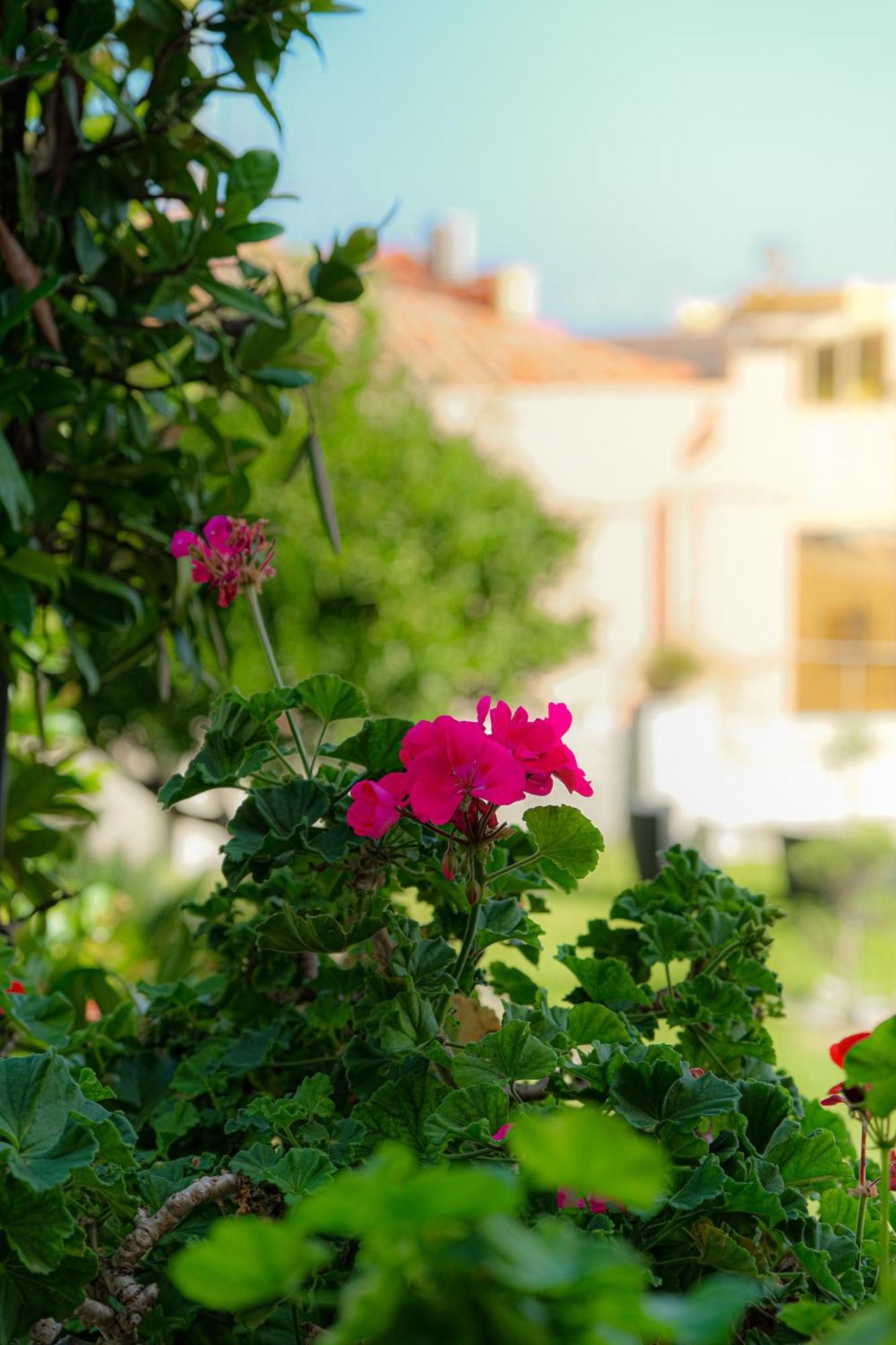 L'Antico Borgo Bed & Breakfast Милацо Екстериор снимка